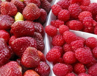 Європейські імпортери цікавляться українськими ягодами